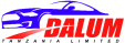 dalum motors logo